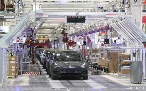 特斯拉工廠機器人傷人，馬斯克仍堅稱自動化安全，寧波廣告設計行業(yè)關注