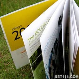 寧波樣本設(shè)計的藝術(shù)與商業(yè)價值——專業(yè)樣本畫冊設(shè)計公司與廣告發(fā)布服務(wù)的深度解析